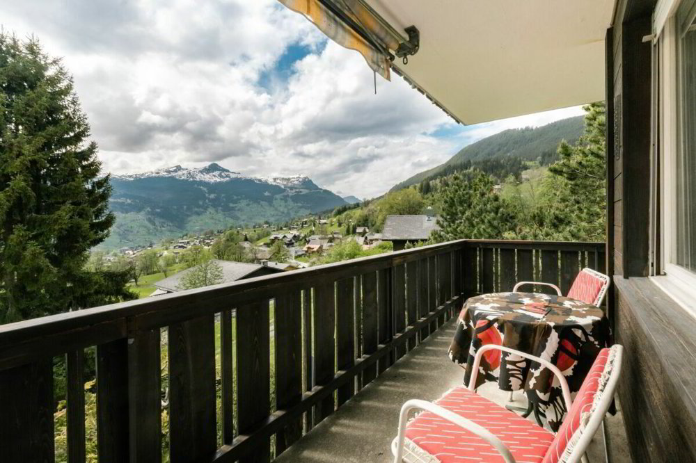 Appartement 2 pièces à acheter à Grindelwald - image 1/13