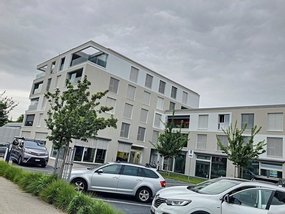 Appartement 2 pièces à louer à Villars-sur-Glâne - image 1/10