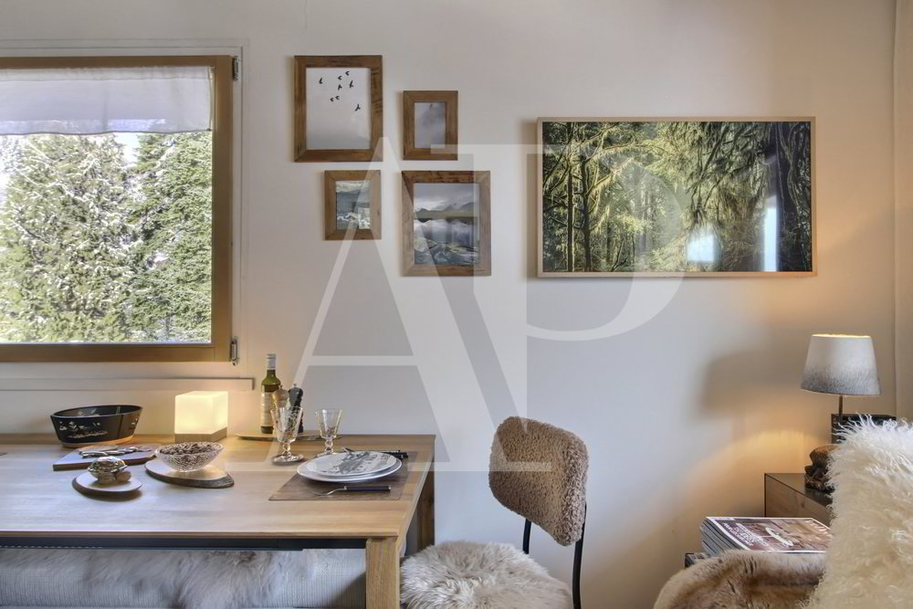 Appartement 2 pièces à louer à Champéry - image 1/13