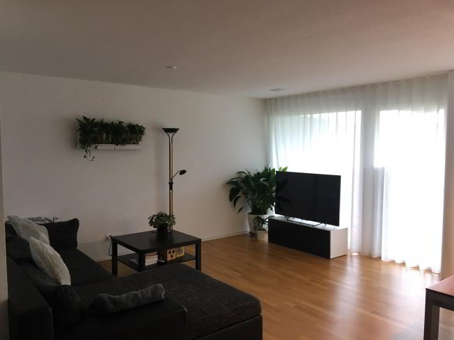 Appartement 3 pièces à louer à Herrenschwanden - image 1/1