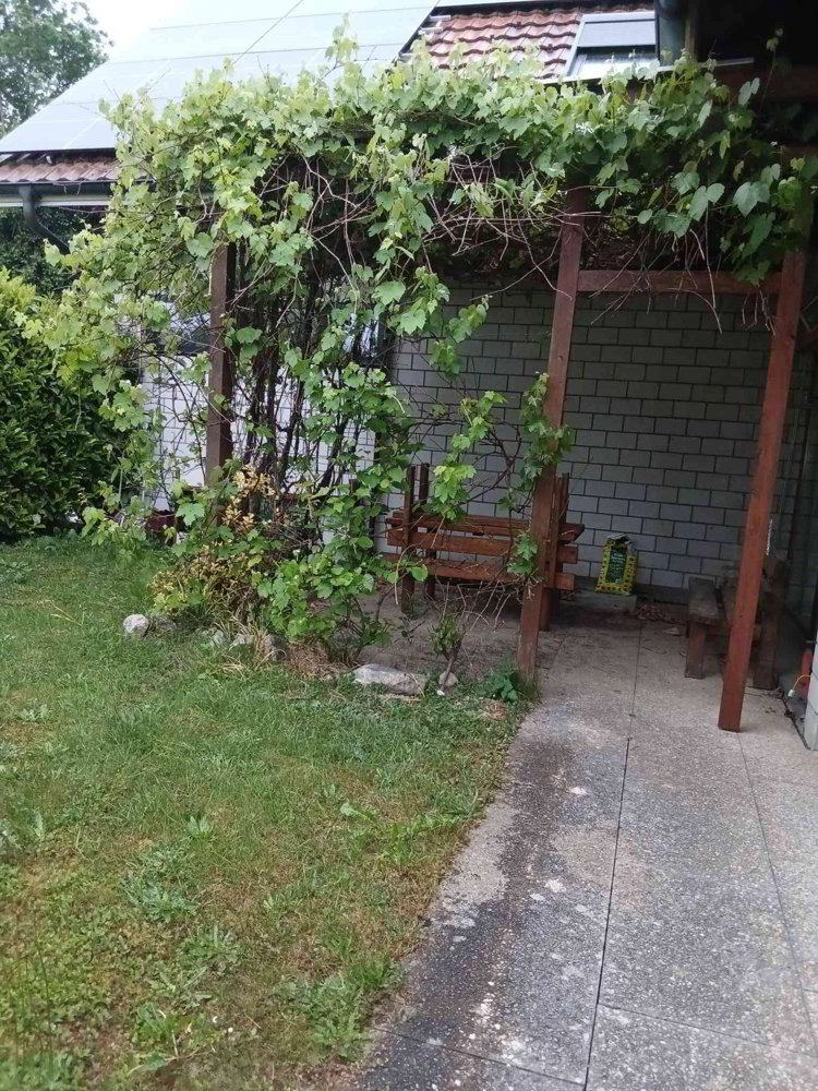 Maison 5 pièces à louer à Selzach - image 1/12