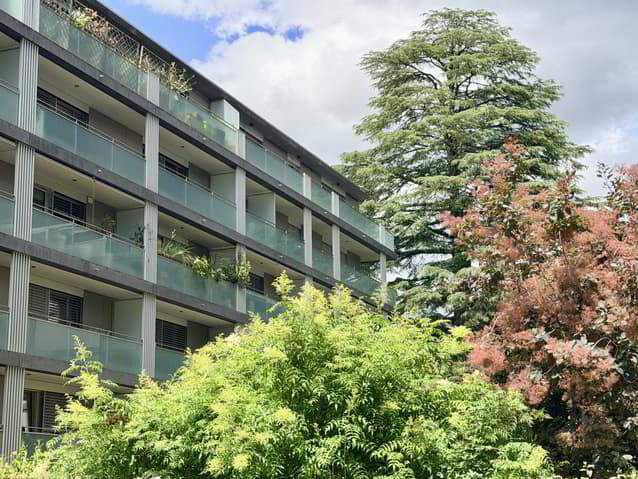 Appartamento di 4.5 locali in vendita a Carouge GE - immagine 1/9