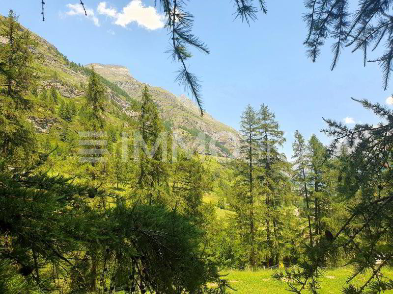 Terreno di null locali in vendita a Zermatt - immagine 1/5