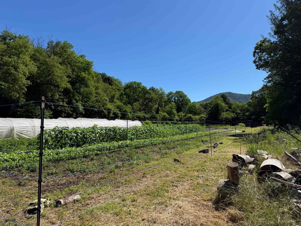 Terreno di null locali in vendita a Monteggio - immagine 1/4