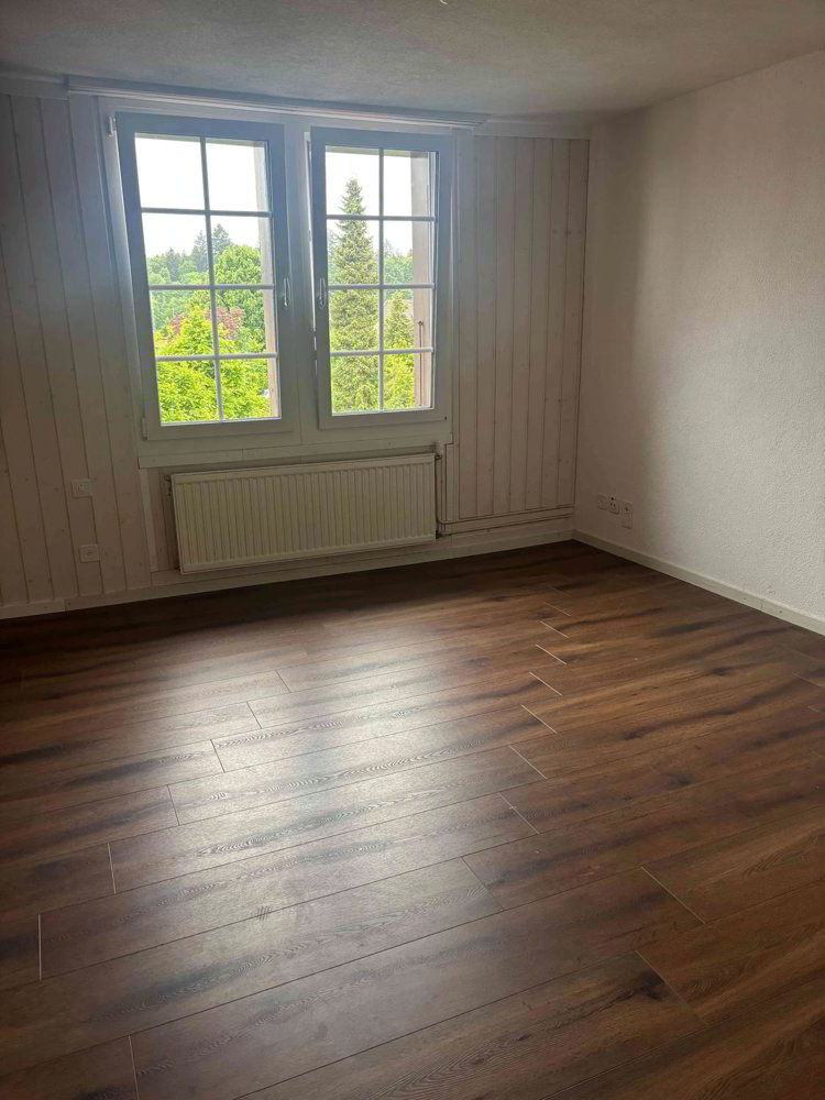 Appartement 3.5 pièces à louer à Lotzwil - image 1/9