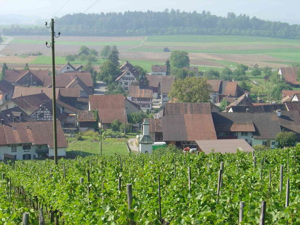 Appartement 4 pièces à louer à Wildensbuch - image 1/13
