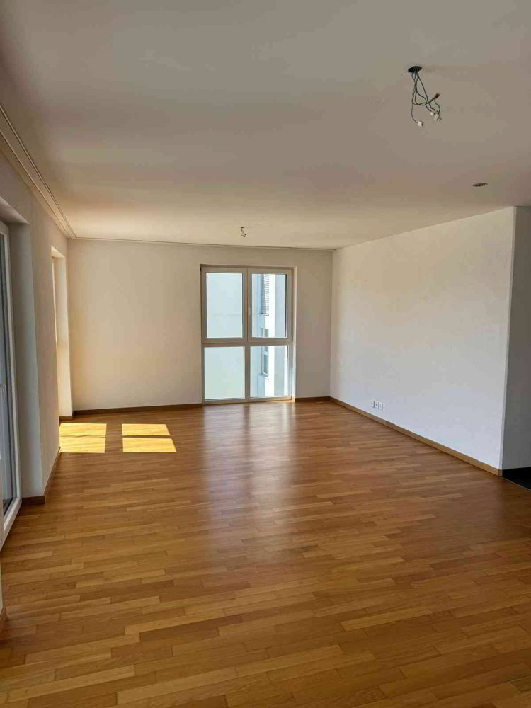 Appartement 4.5 pièces à louer à Eggersriet - image 1/11