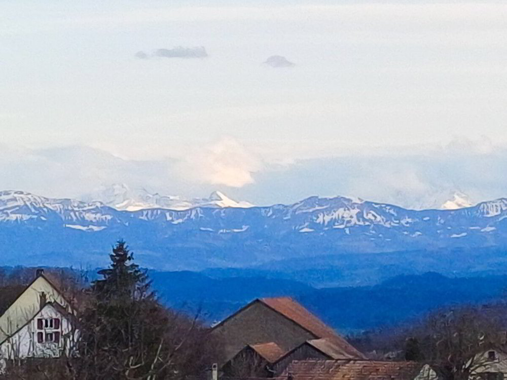 Terreno di null locali in vendita a Olten - immagine 1/11