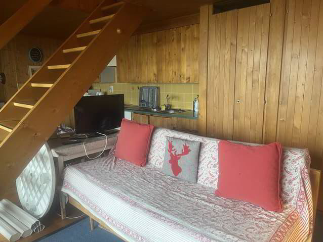 3.5 rooms House for rent in Leysin - image 1/8