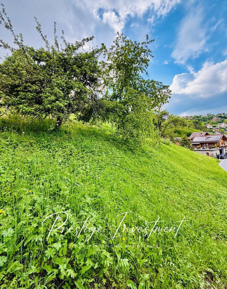 Terreno di null locali in vendita a Vex - immagine 1/7