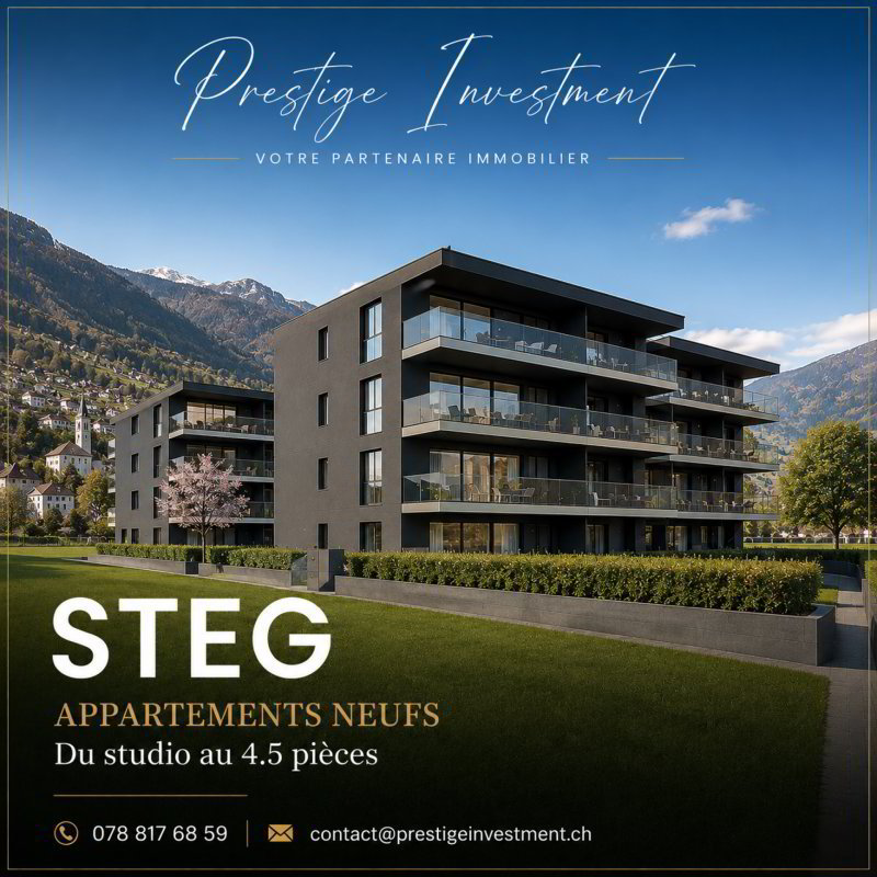 Appartement null pièces à acheter à Steg VS - image 1/1
