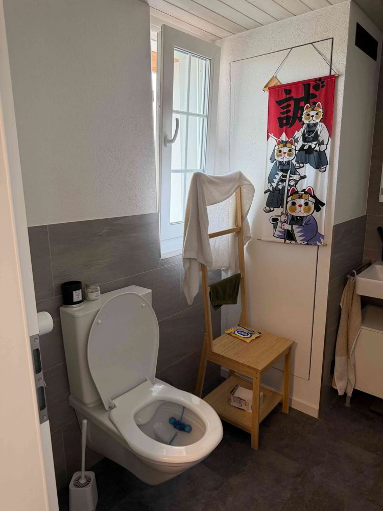 Appartement 1.5 pièces à louer à St. Gallen - image 1/11