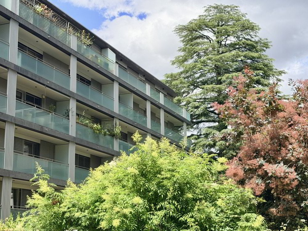 Appartamento di 4.5 locali in vendita a Carouge GE - immagine 1/9