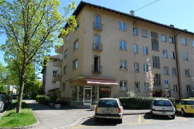 Appartamento di 3 locali in affitto a Berna - immagine 1/1