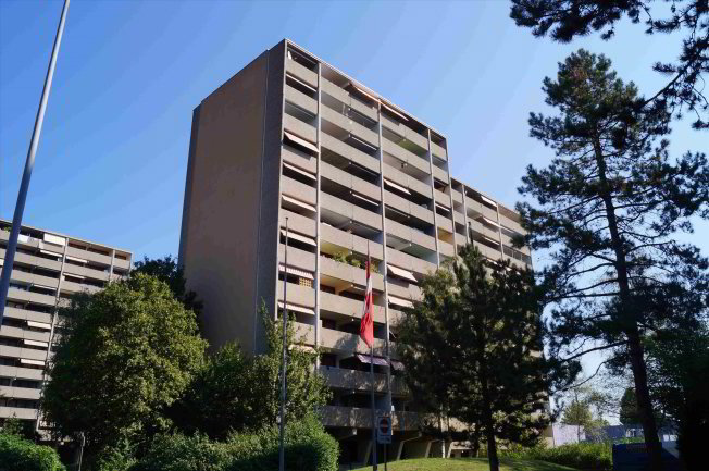 Appartamento di 2 locali in affitto a Rheinfelden - immagine 1/1