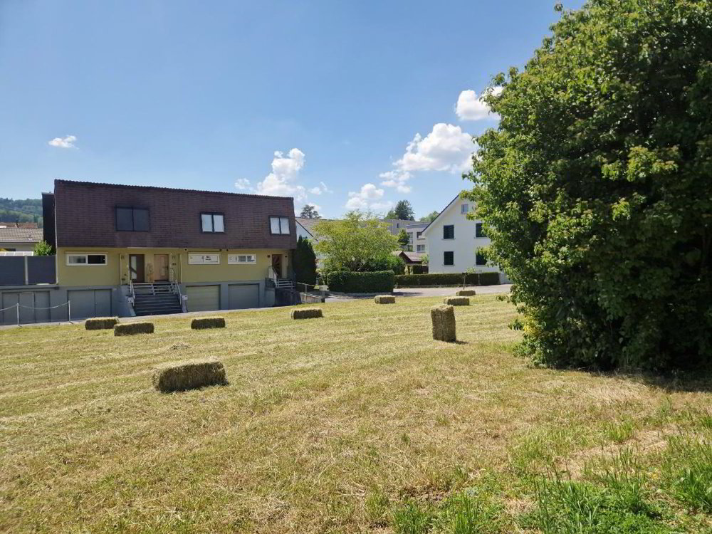 Terreno di null locali in vendita a Kölliken - immagine 1/1