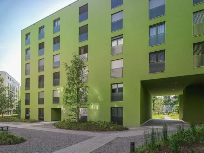 2 Zimmer Wohnung zu vermieten in Dübendorf - Bild 1/1