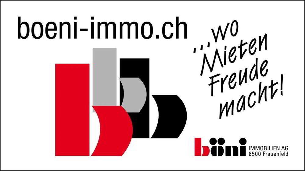 Appartamento di 6.5 locali in affitto a Matzingen - immagine 1/8