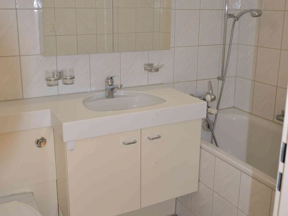 Appartamento di 4 locali in affitto a Reinach AG - immagine 1/7