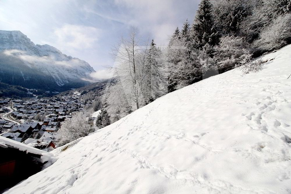 Terrain null pièces à acheter à Champéry - image 1/7