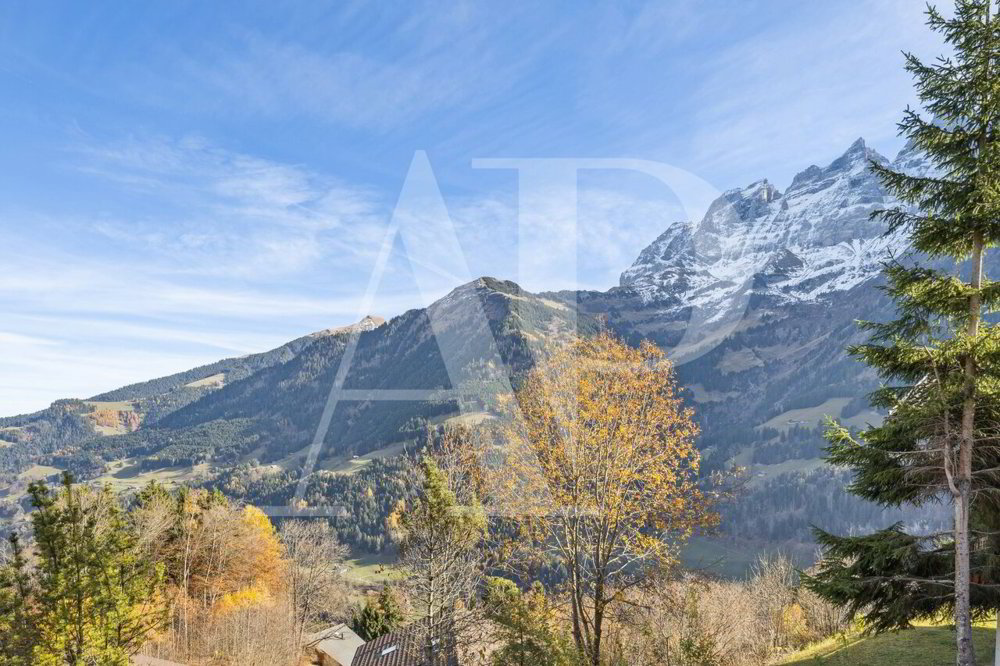 6 Zimmer Haus zum verkaufen in Champéry - Bild 1/11