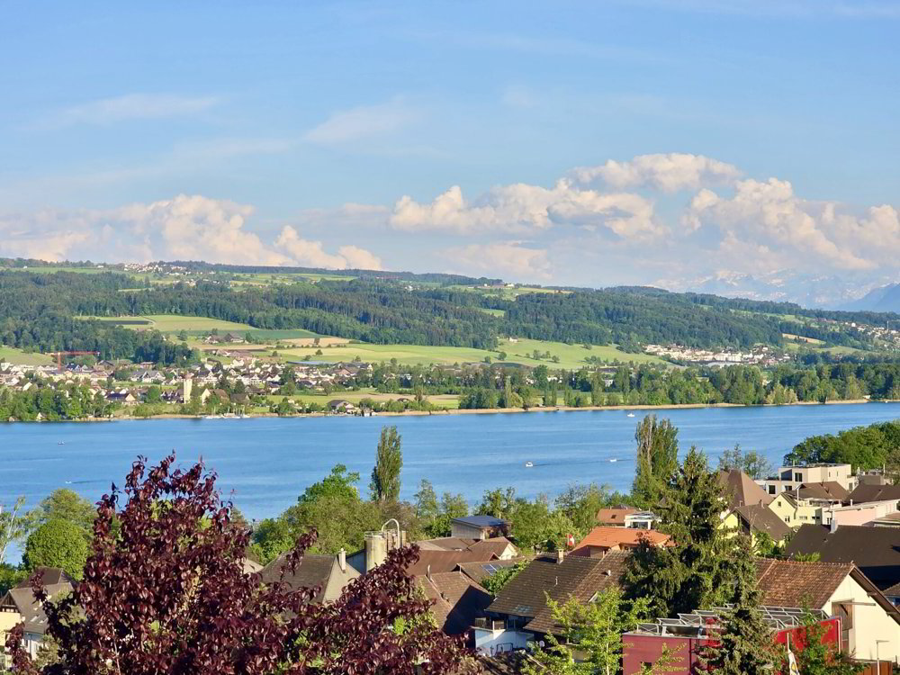Terrain 7.5 pièces à acheter à Beinwil am See - image 1/15