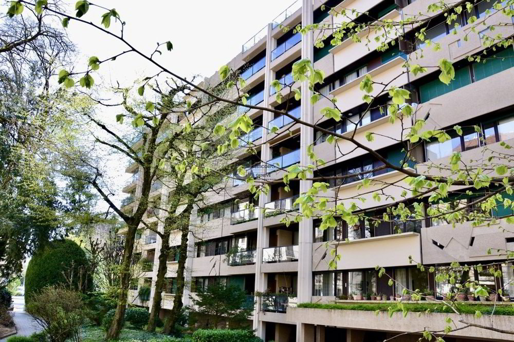 Appartamento di 6 locali in vendita a Genève - immagine 1/1