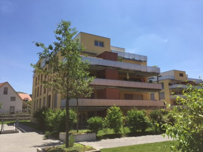 Appartamento di 2 locali in affitto a Pfungen - immagine 1/1