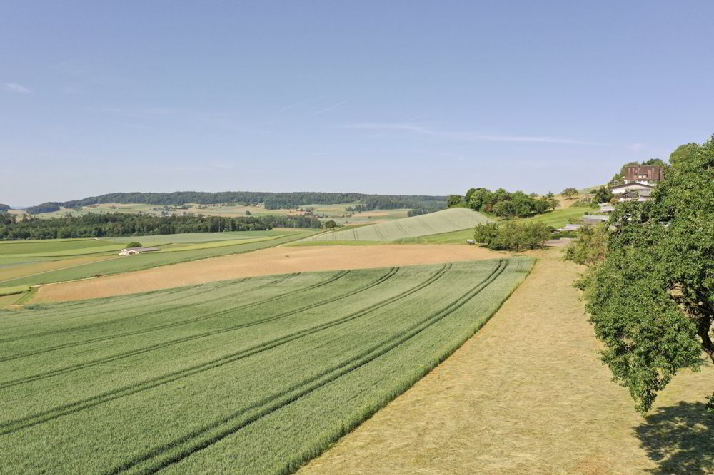 null rooms Land to buy in Schneisingen - image 1/7