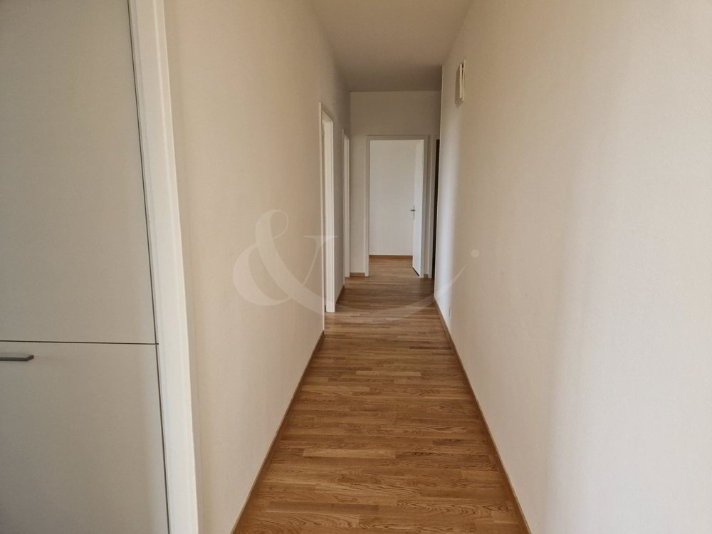 5 Zimmer Wohnung zu vermieten in Carouge GE - Bild 1/12