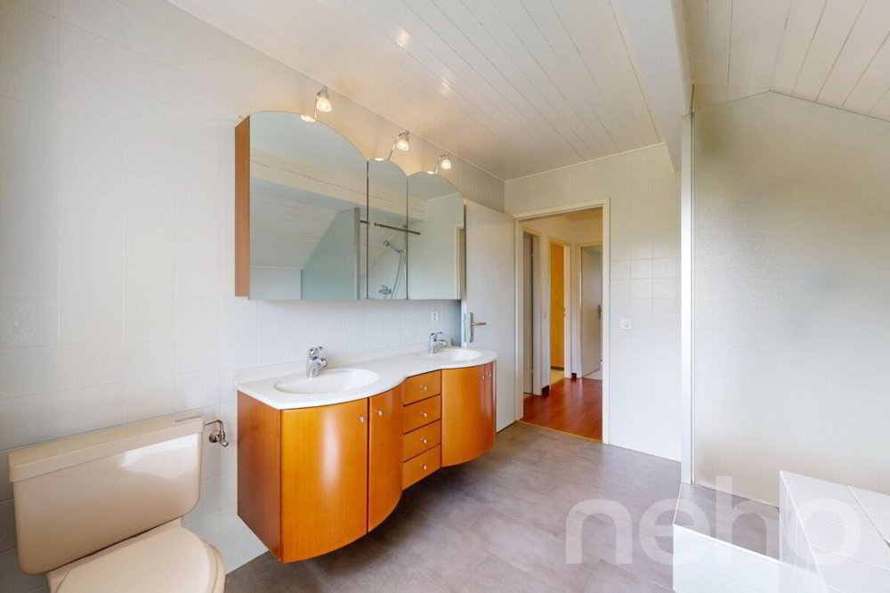 6.5 rooms House to buy in Coppet - image 1/12