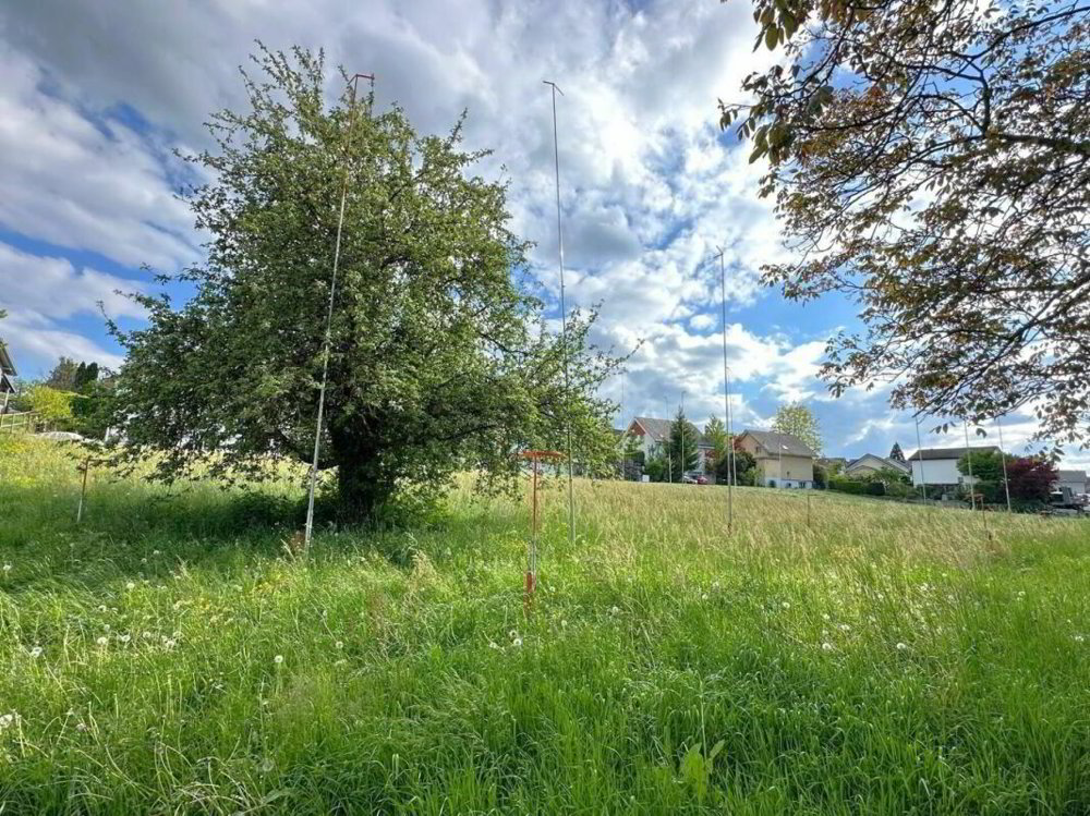 Maison 5 pièces à acheter à Pfyn - image 1/5