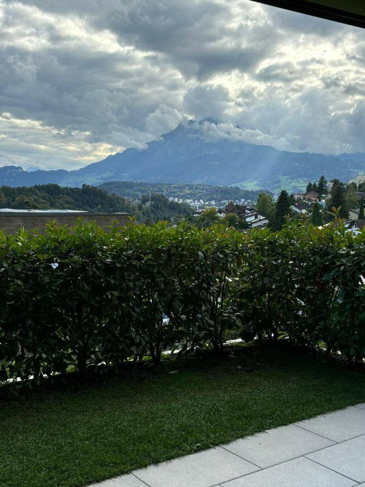 3 rooms Apartment for rent in Adligenswil - image 1/13