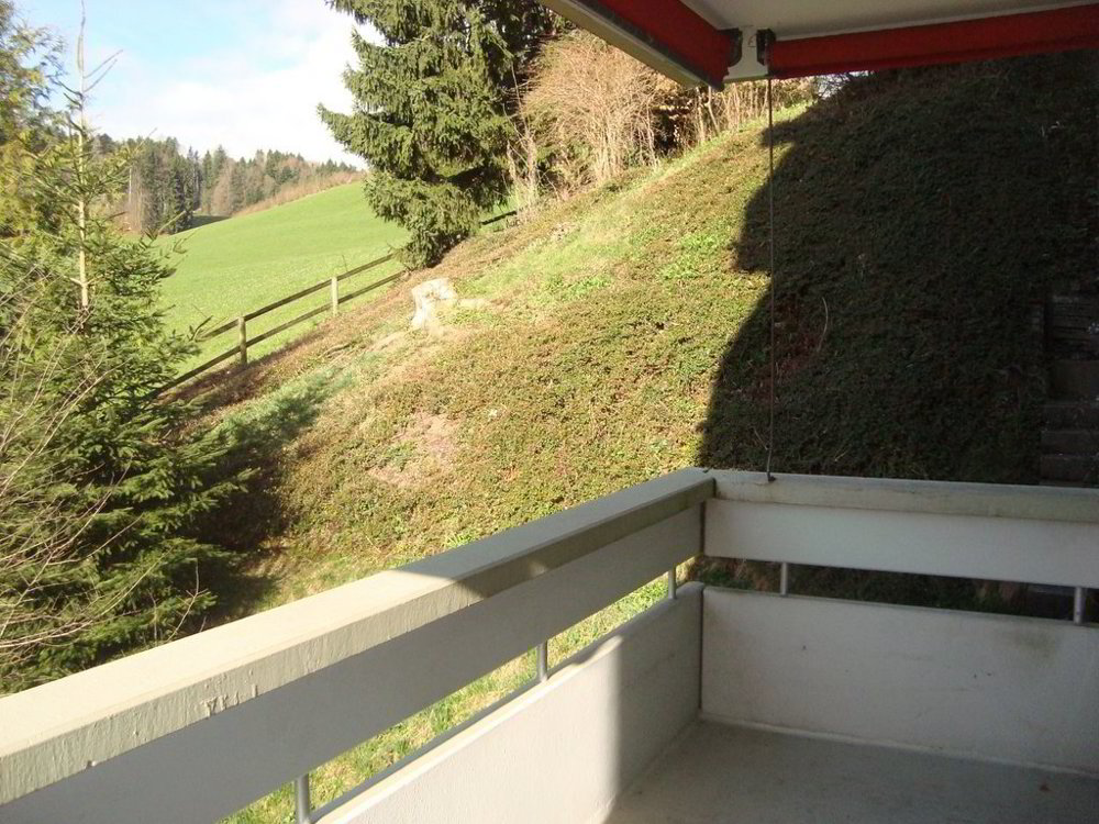 Appartamento di 4.5 locali in affitto a Herisau - immagine 1/8