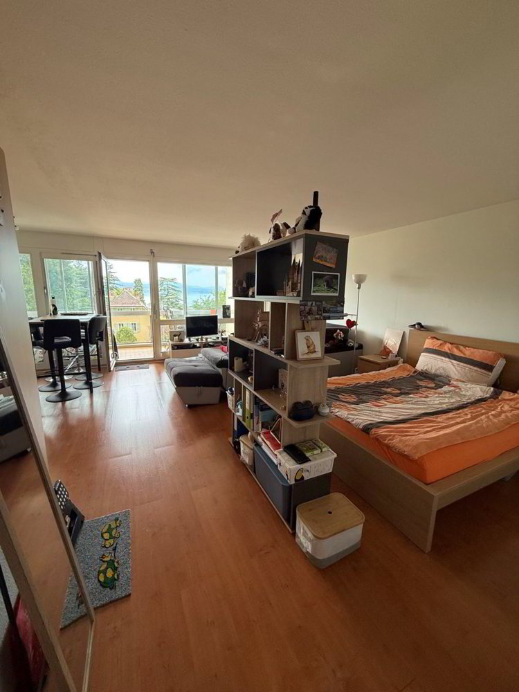 Appartement 1 pièces à louer à Lutry - image 1/4