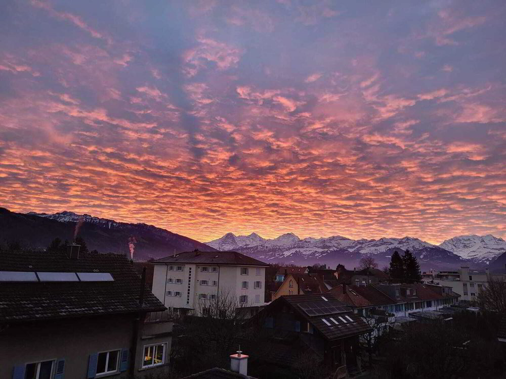 Appartamento di 2 locali in affitto a Thun - immagine 1/8