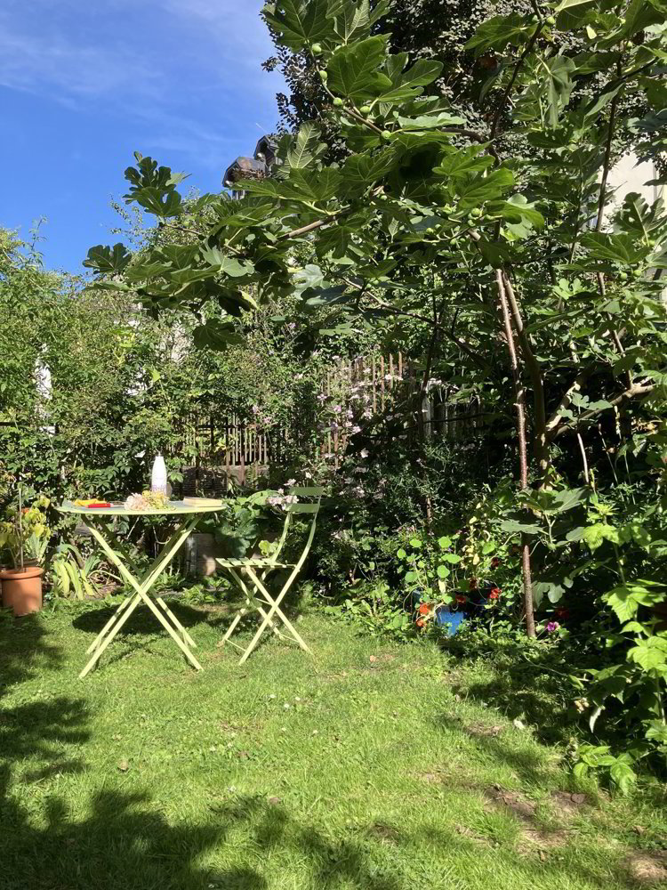 Appartamento di 3 locali in affitto a Berna - immagine 1/9