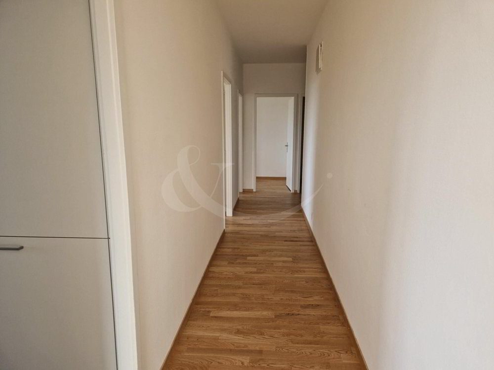 5 Zimmer Wohnung zu vermieten in Les Acacias - Bild 1/12