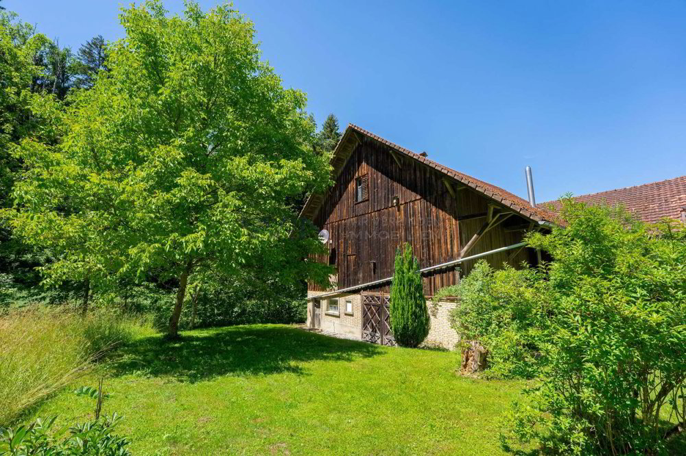 Maison 11 pièces à acheter à Mettlen - image 1/13