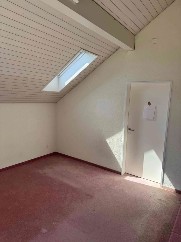Appartement 4.5 pièces à louer à Hausen AG - image 1/11
