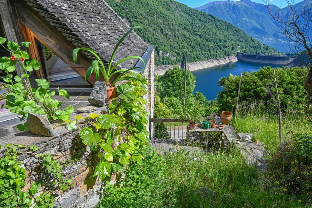 Maison 4 pièces à acheter à Mergoscia - image 1/13