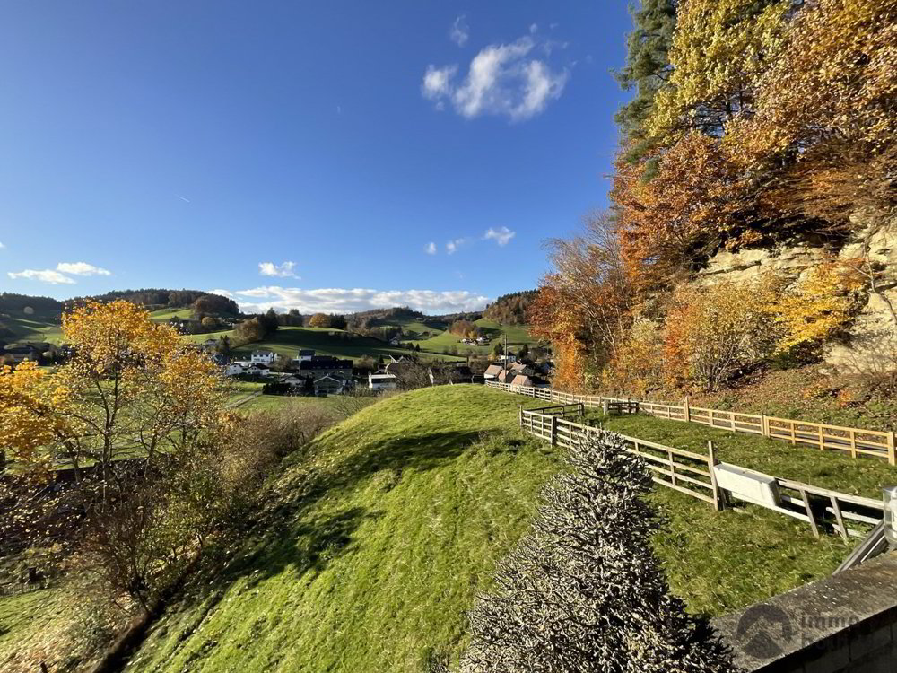 Casa di 4 locali in vendita a Bottenwil - immagine 1/13