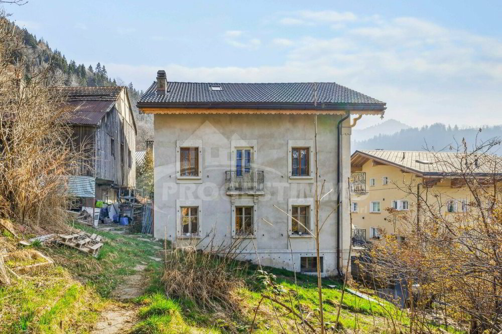 Maison 11 pièces à acheter à Le Sépey - image 1/10