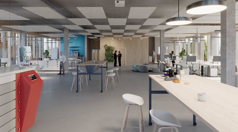 Bâtiment neuf - Surfaces à louer dès 700 m² - Campus the Hive - Ansicht 5