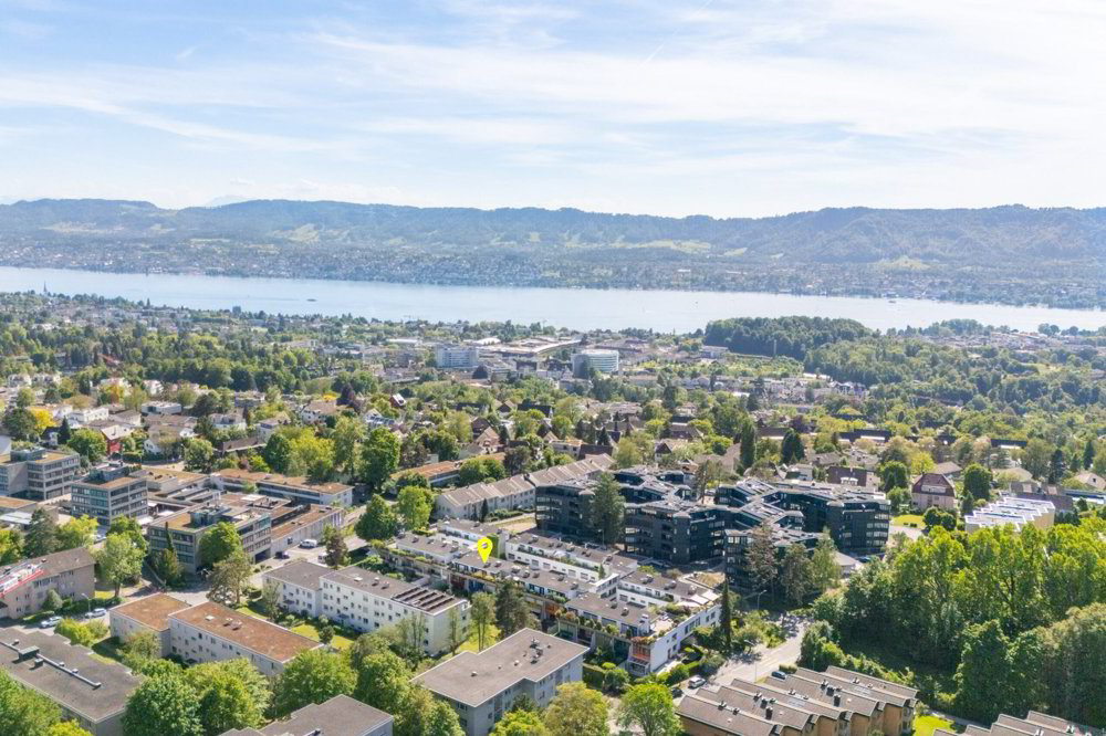 5.5 rooms Apartment to buy in Zürich - image 1/13