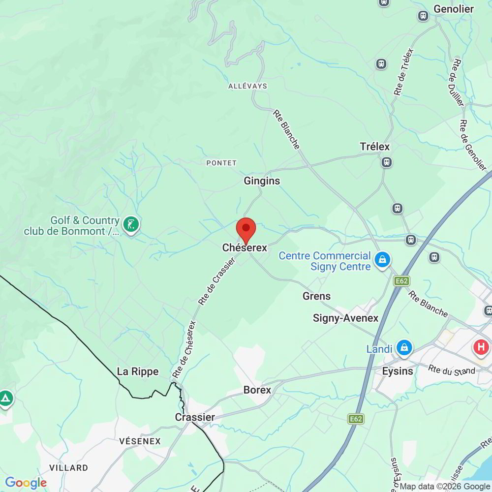 Appartamento di 4 locali in vendita a Chéserex - immagine 1/7