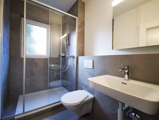 Appartement 3 pièces à louer à Bienne - image 1/13