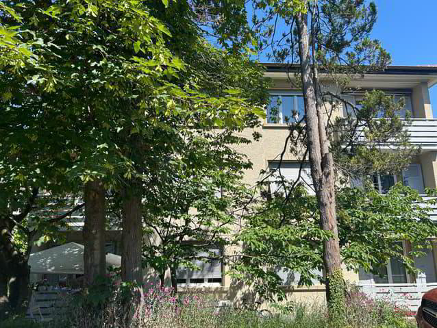 Apartment in Fribourg - Freiburg, Bourg, Schönberg/Schoenberg - Ansicht 2