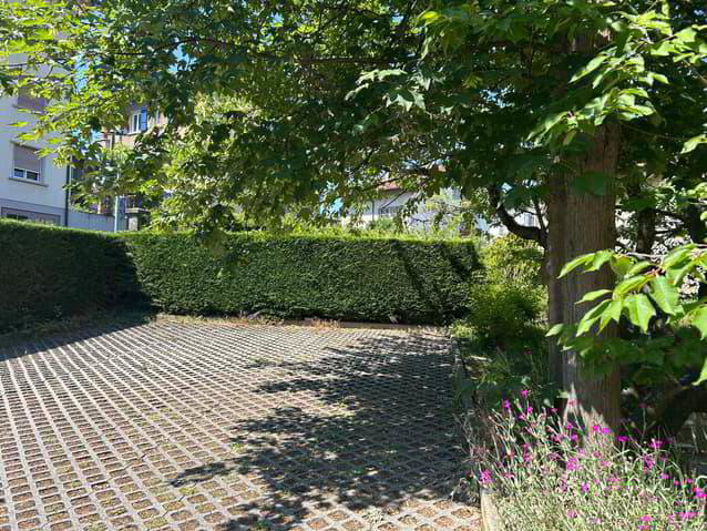 Apartment in Fribourg - Freiburg, Bourg, Schönberg/Schoenberg - Ansicht 4
