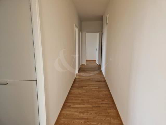 5 Zimmer Wohnung zu vermieten in Les Acacias - Bild 1/12